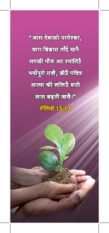 Shekhawati promise card 